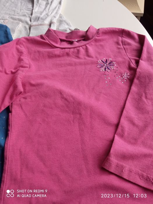 Paczka ubrań dla dziewczynki koszulki sukienki bluza