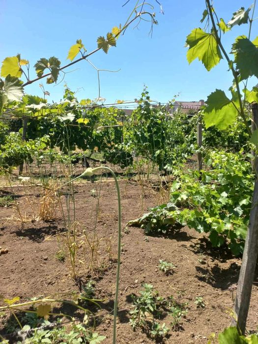 Продам Участок в Крыжановке
морская сторона