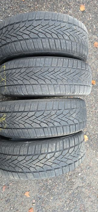 Opony zimowe Semperit 205 55 R16