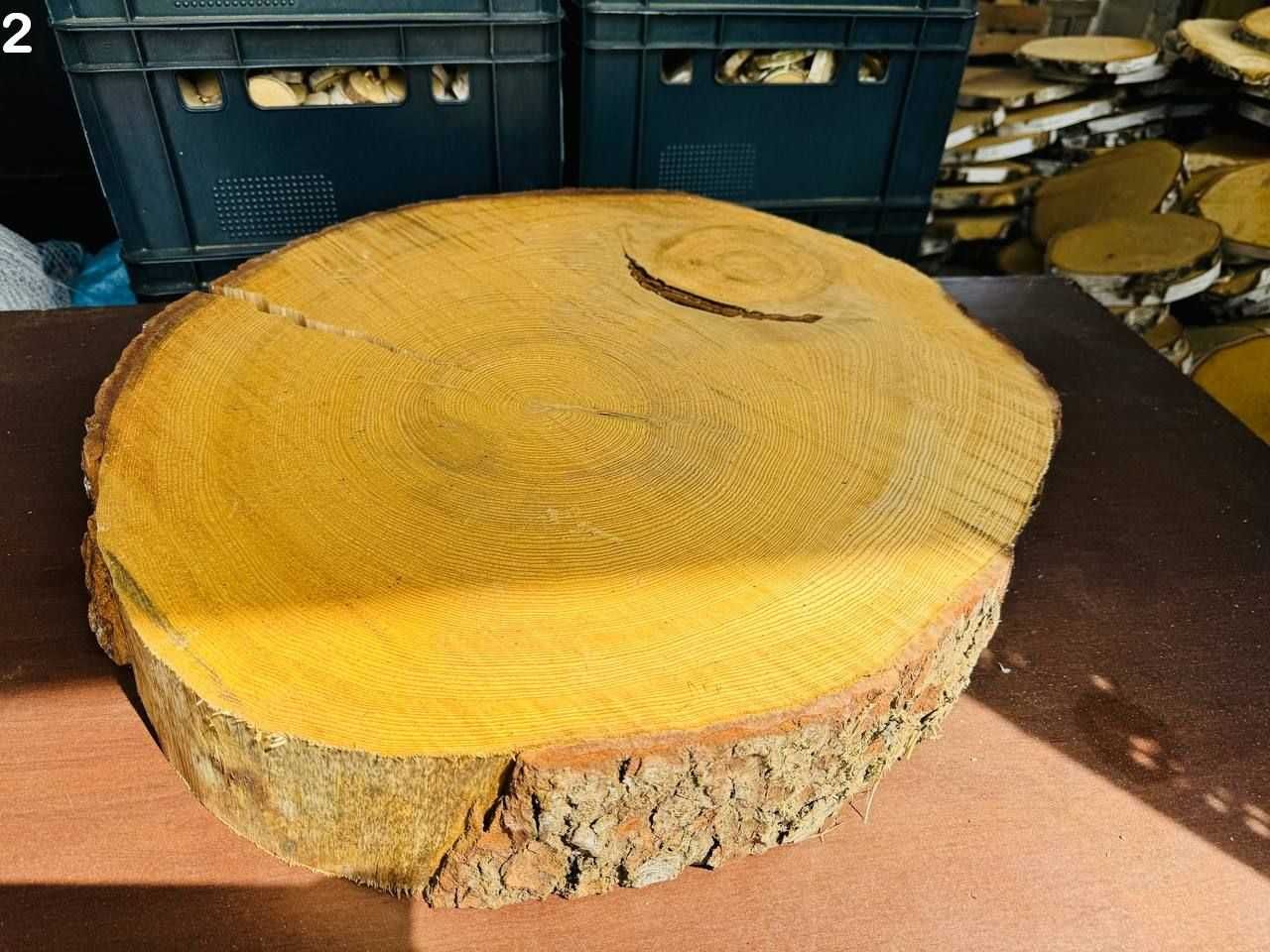 Plaster drewna jodła 60cm unikat na stolik pod żywicę epoksydową