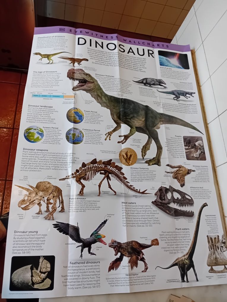 Poster Dinossauro