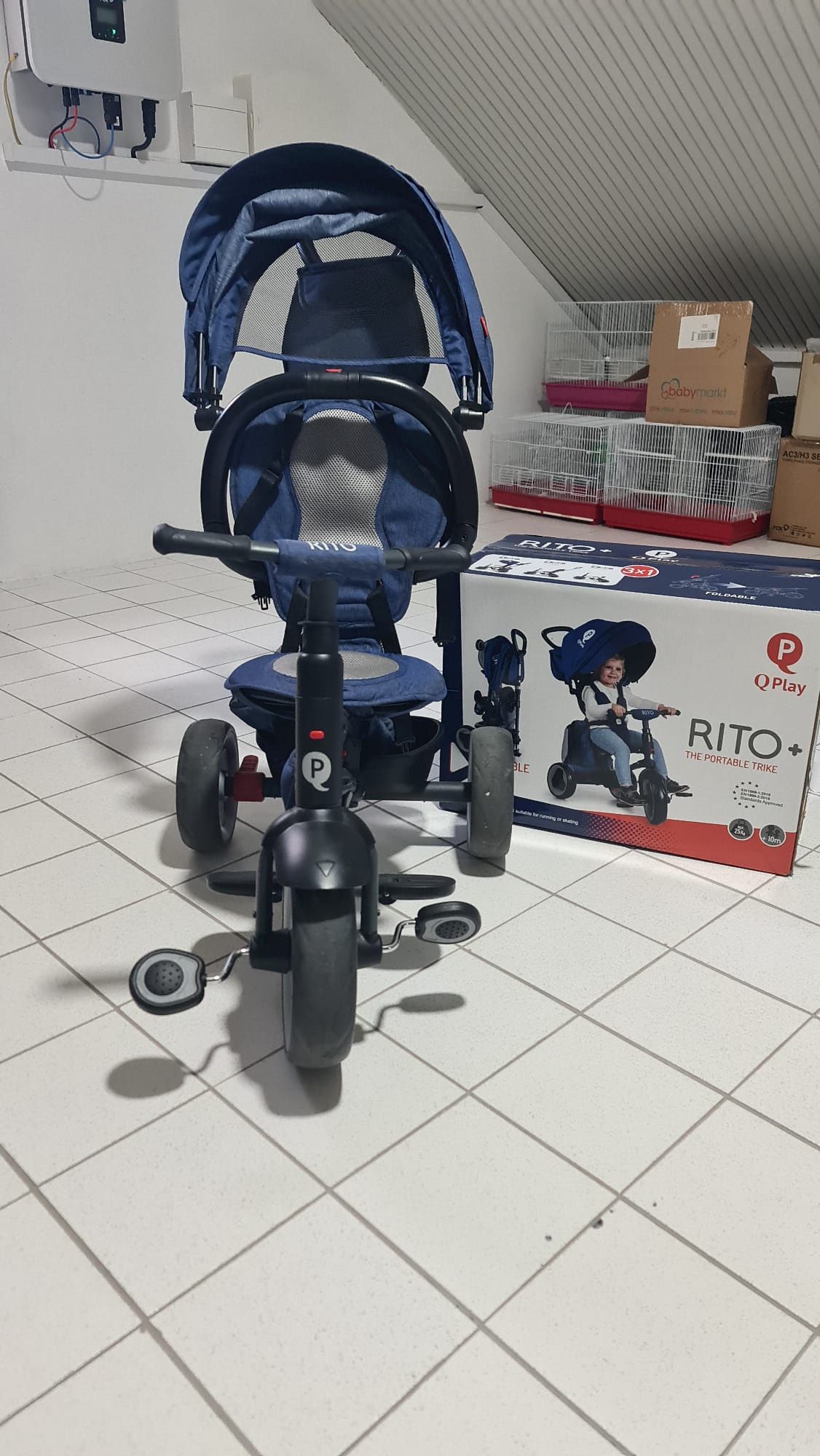 Triciclo evolutivo