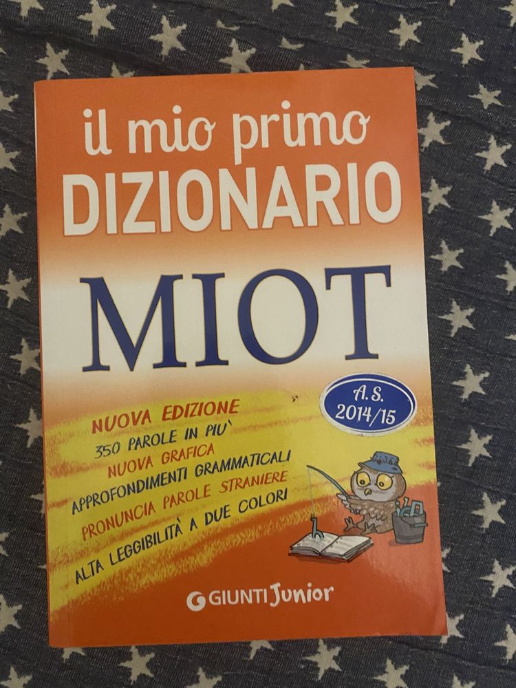 Słownik włosko-włoski