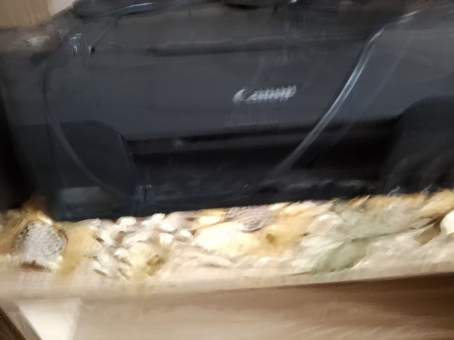 Принтер Canon Pixma G2420