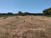 Fardos de palha redondos e quadrados pequenos