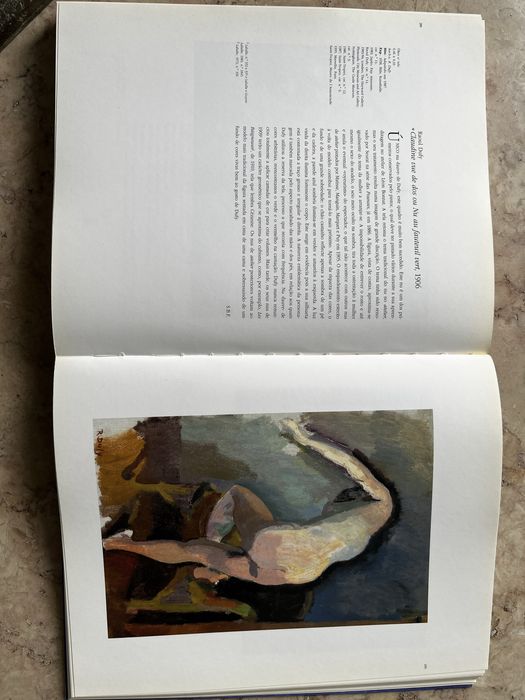 Livro cores e pintores na Provença