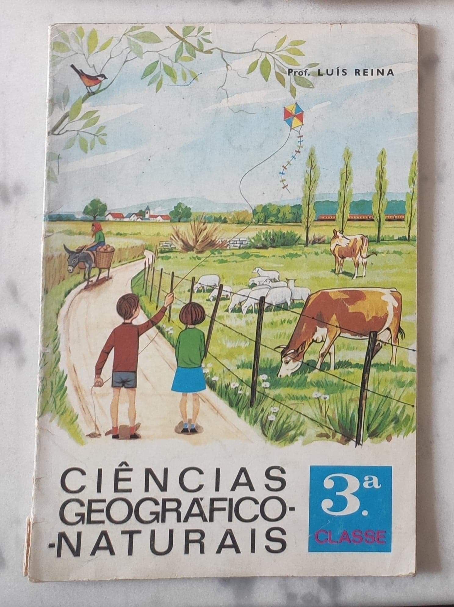 ciências geográfico-naturais 3º classe Prof. Luís Reina