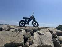 Fat bike electrica