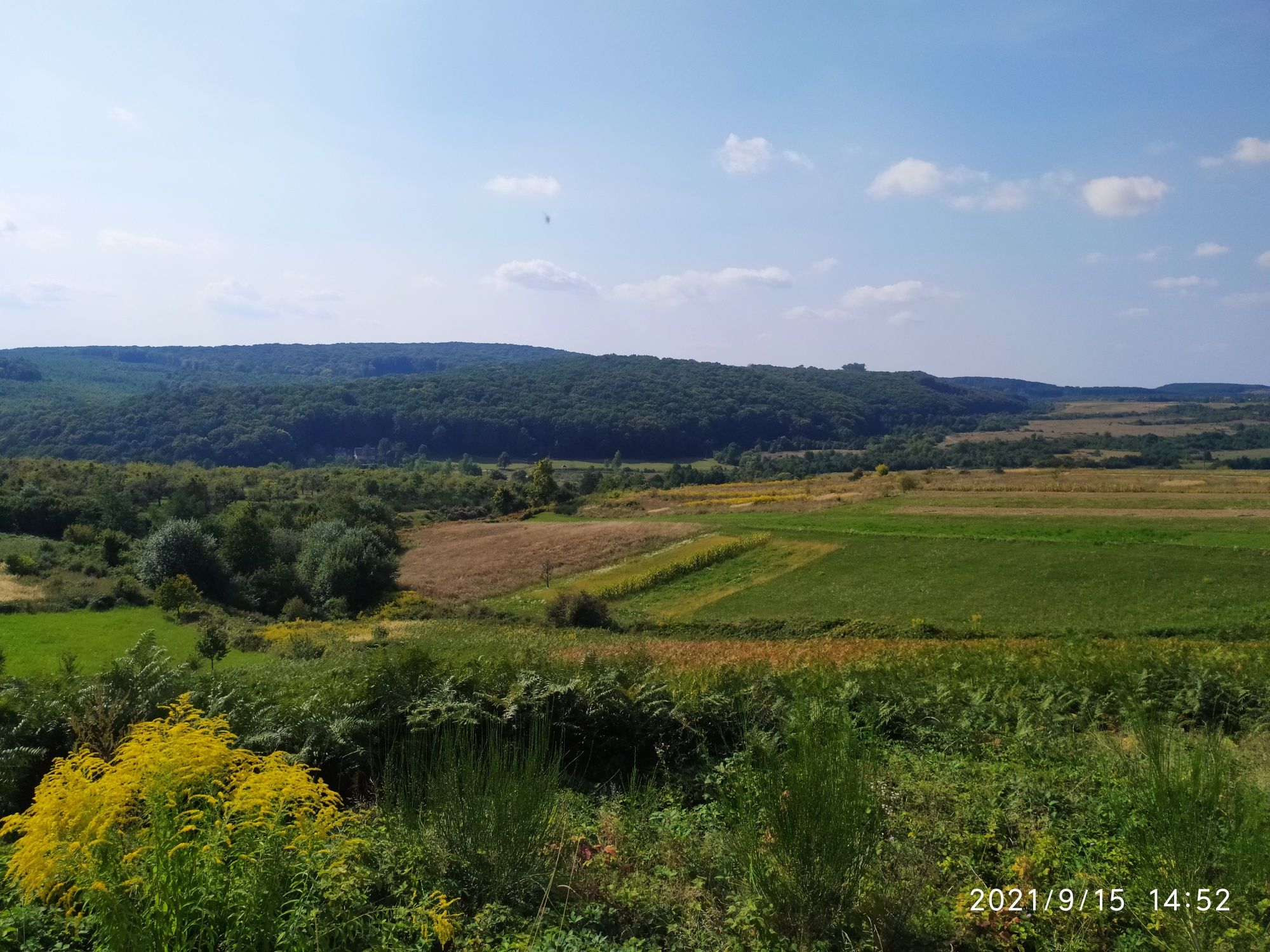 Дім в Карпатах. Закарпатська обл.