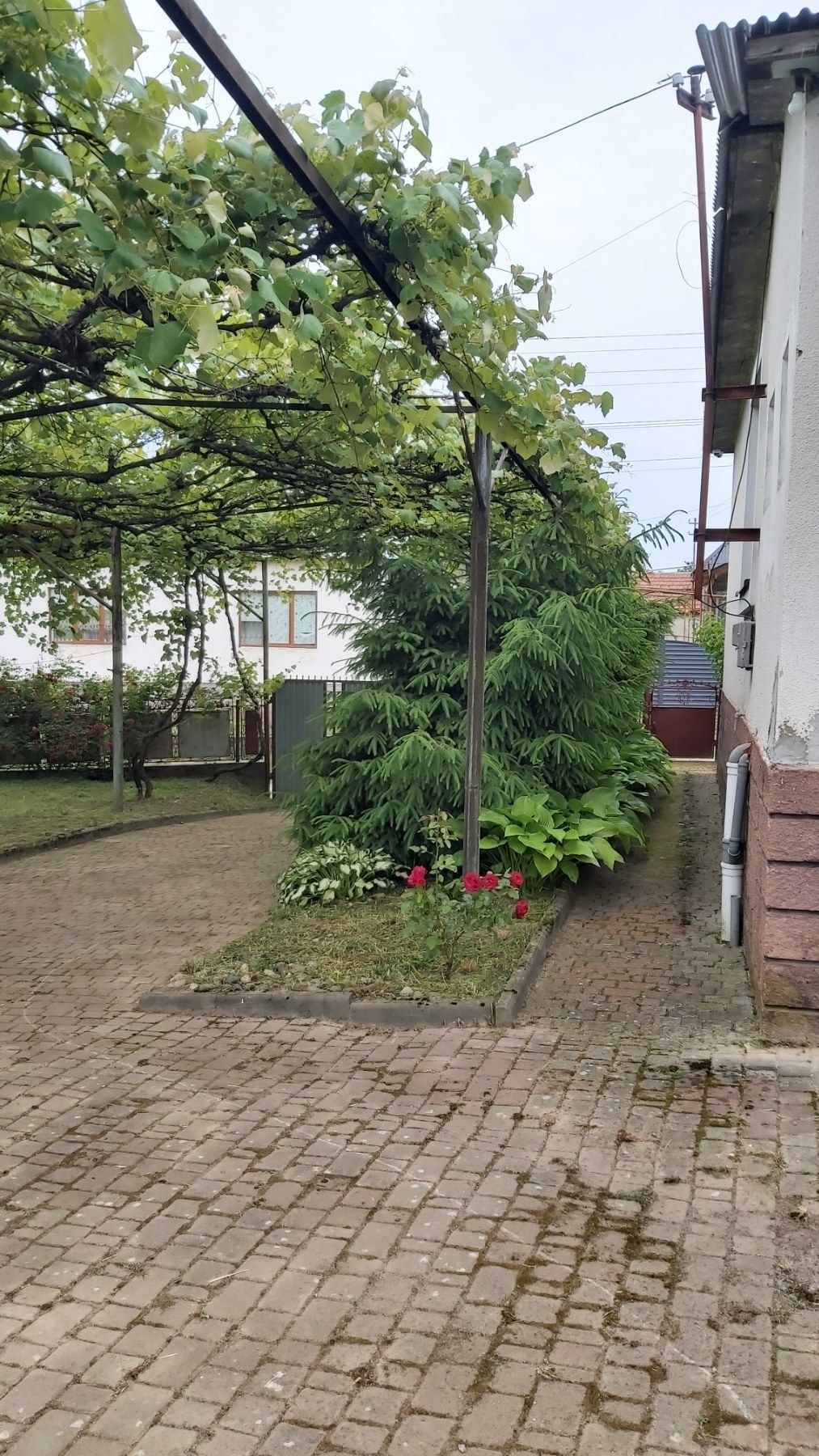 Продам будинок с. Осій Закарпатська область