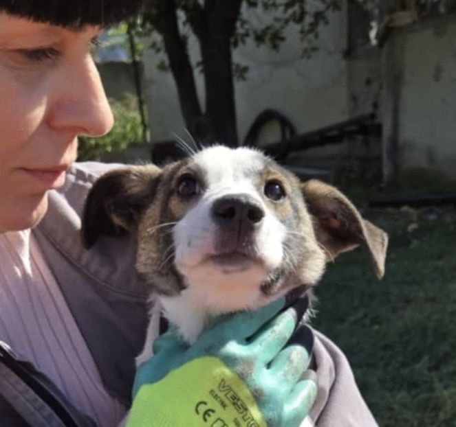 NADZIEJA – 5 mięs. Kochana sunia