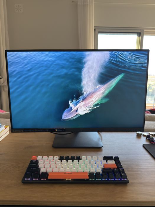 Monitor 4k N27p Lenovo - 3 meses de uso