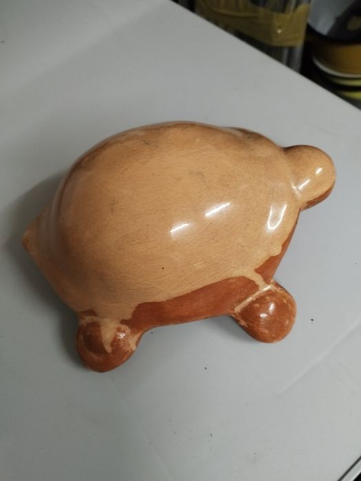 Tartaruga barro bicolor vidrado