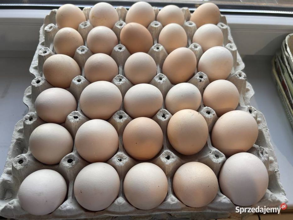 Jajka wiejskie Możliwy dowóz