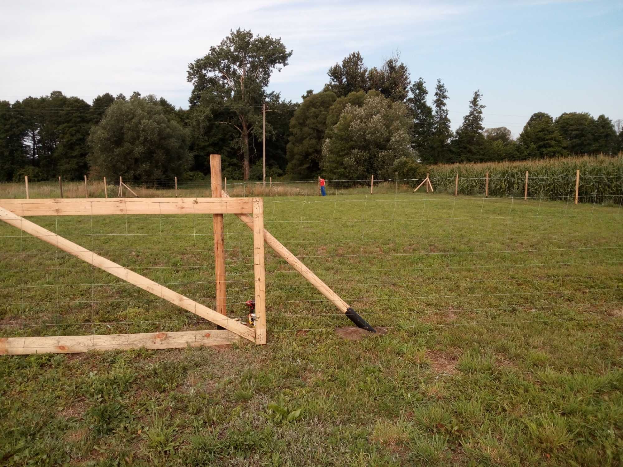 Ogrodzenie Budowlane Tymczasowe Olsztyn siatka leśna już 17 zl. za m