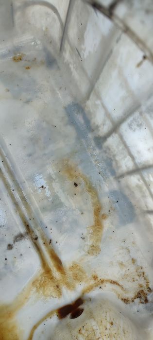 Продам бочки 700 Л