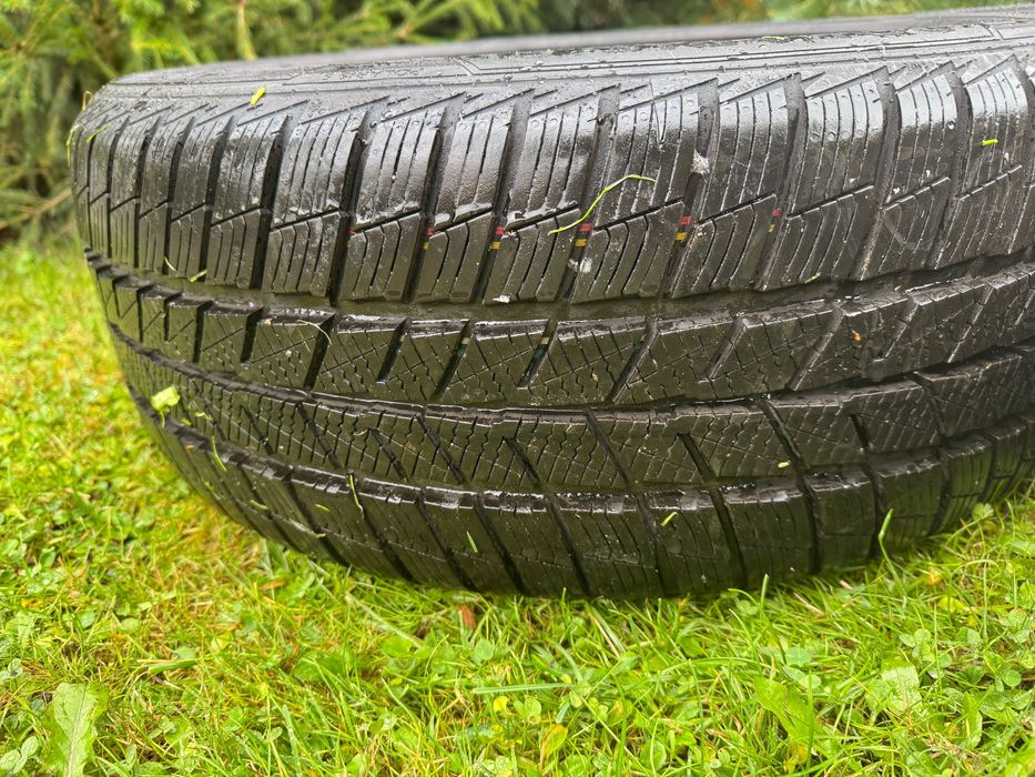 Opony zimowe Barum Polaris 5 225/50 R17 XL 2024