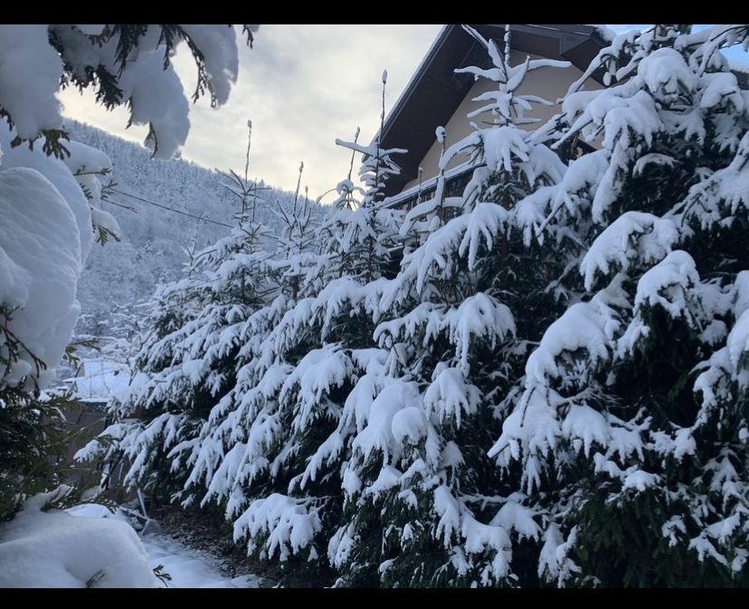 Відпочинок Яремче Карпати Котедж будинок оренда подобово садиба