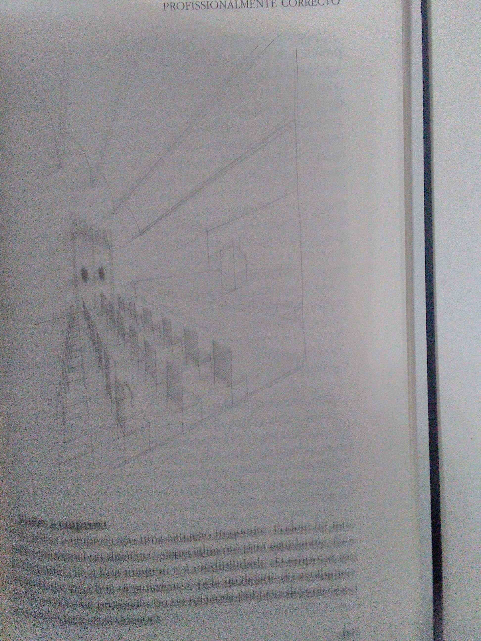 Profissionalmente Correto por Paula Bobone (2000)