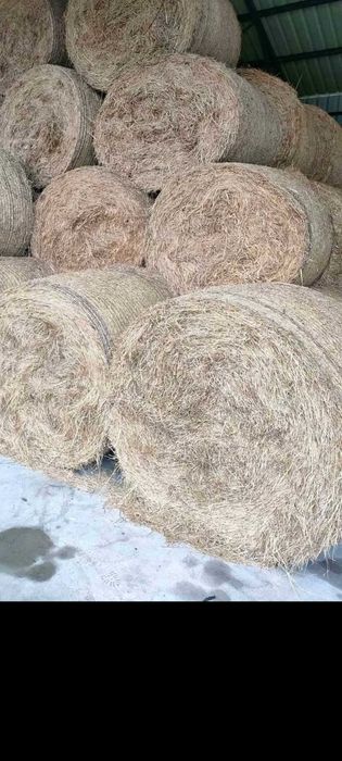 Sprzedam siano. Transport. FV