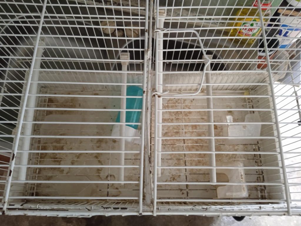 Gaiola para pássaros