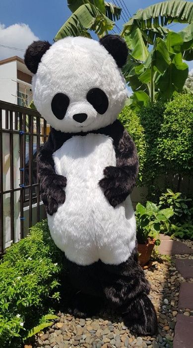 Mascote do Panda (Nova)
