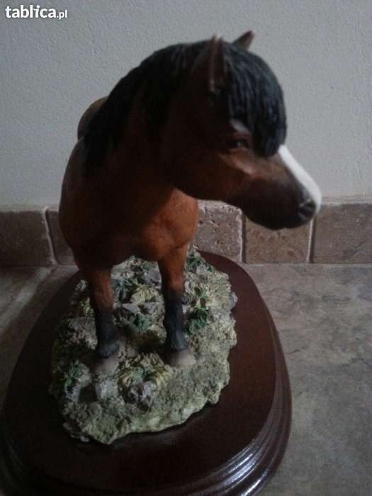 Kucyk Scotland Pony by Leonardo Collection UK