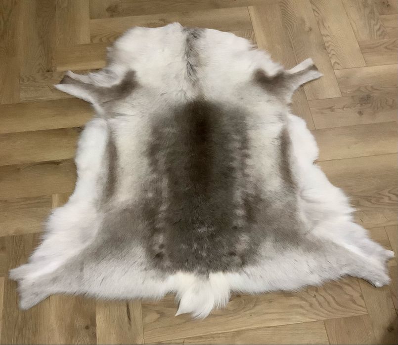 Skóra Renifera z LAPONii roz. XXL