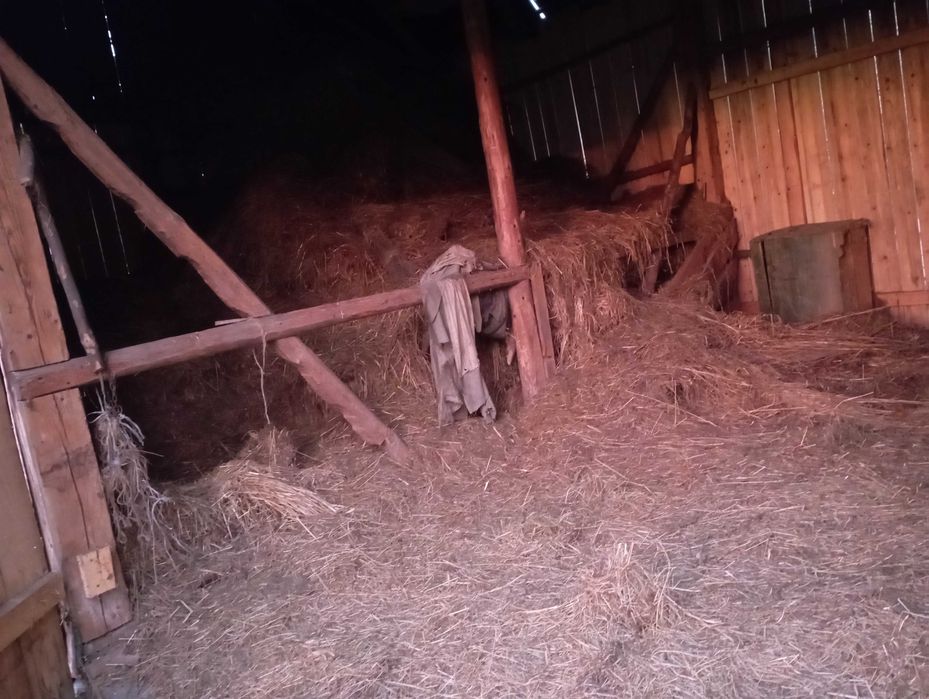 Słomę oddam za darmo