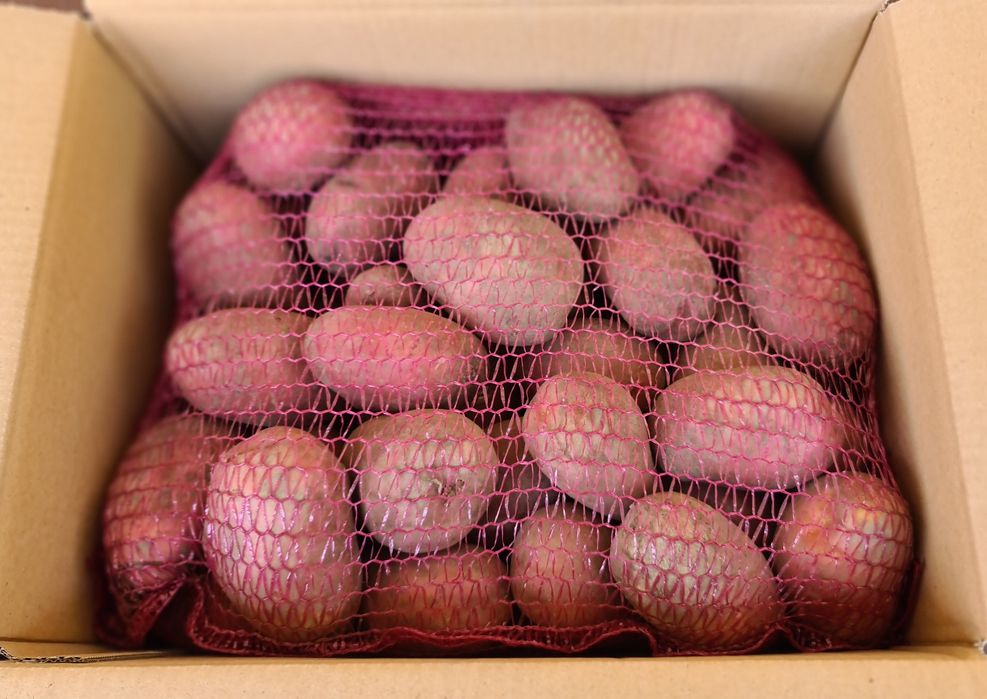 Ziemniaki 15kg REDLADY najsmaczniejsze z wysyłką od rolnika.