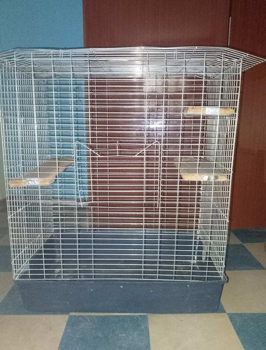 Продам клетку для белки Дегу,шиншил ,и других животных,.большой  разме