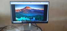 Монитор 23.8" Dell P2422H