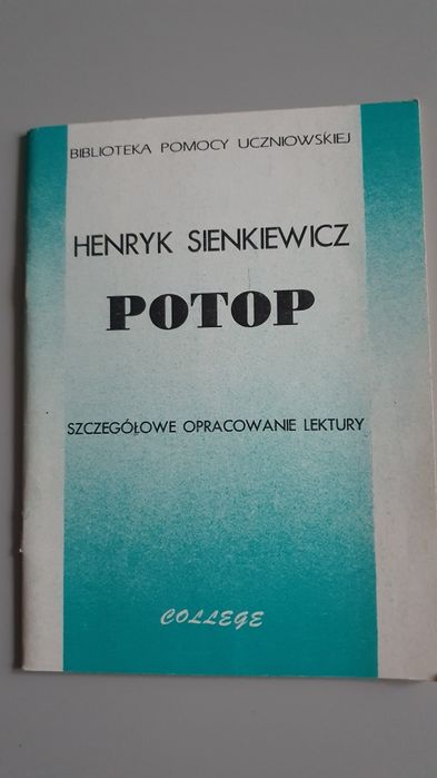 Szczegółowe opracowanie lektury pt "Potop"
