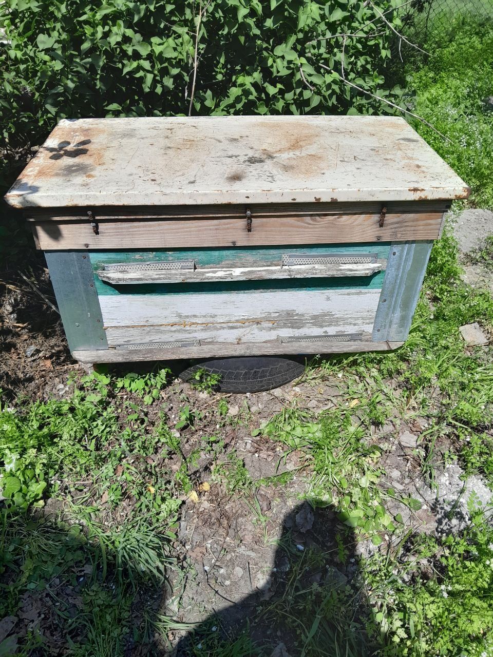 Продам вулики, медогонку і інвентар