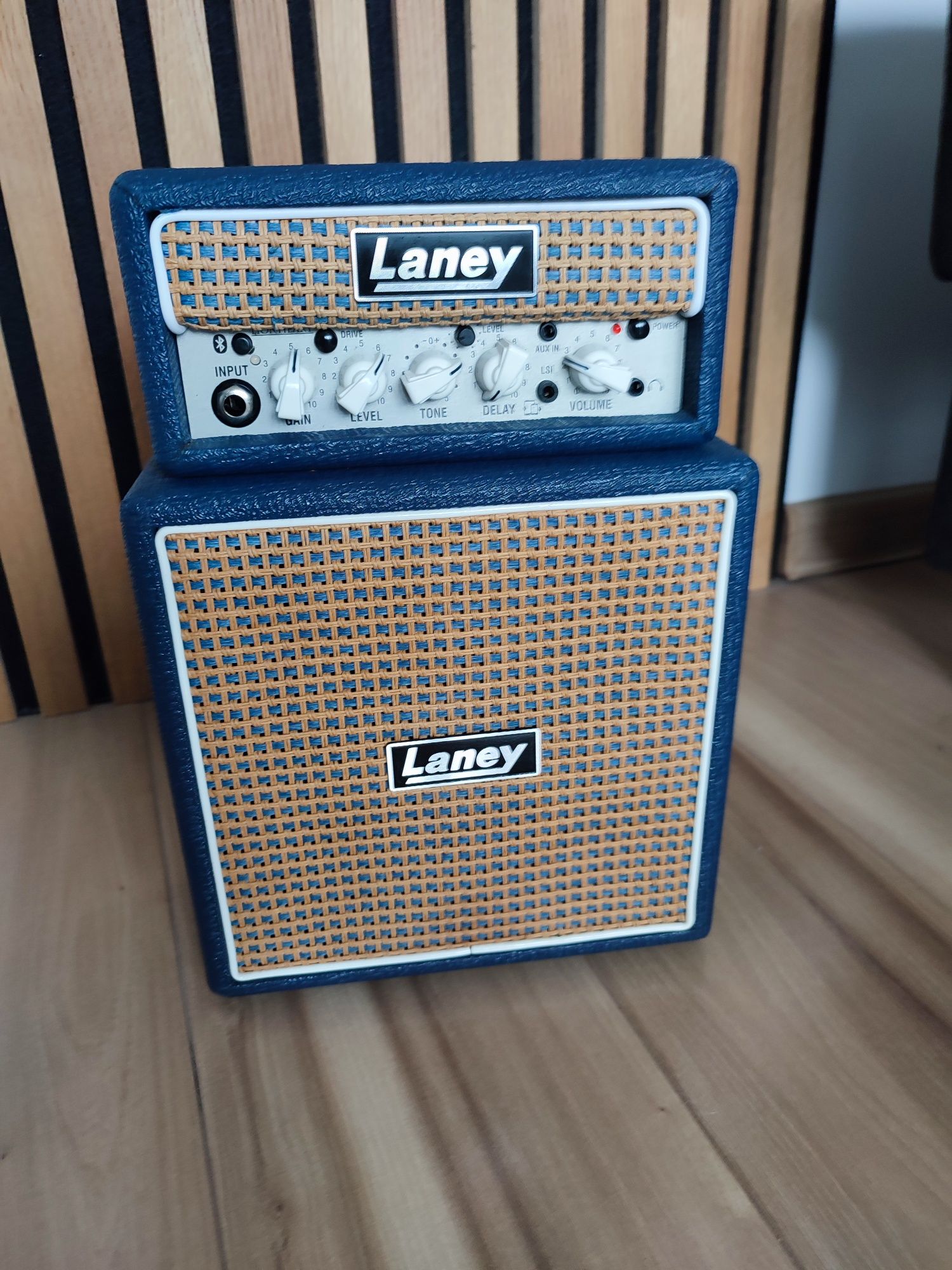 Laney ministack Lion