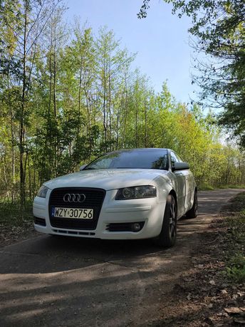 Audi A3 8P 2.0 TDI 2008