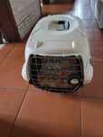 Caixa para transportes gato