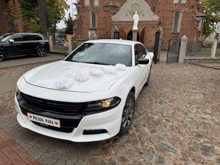 Auto do ślubu biały Dodge Charger 18'