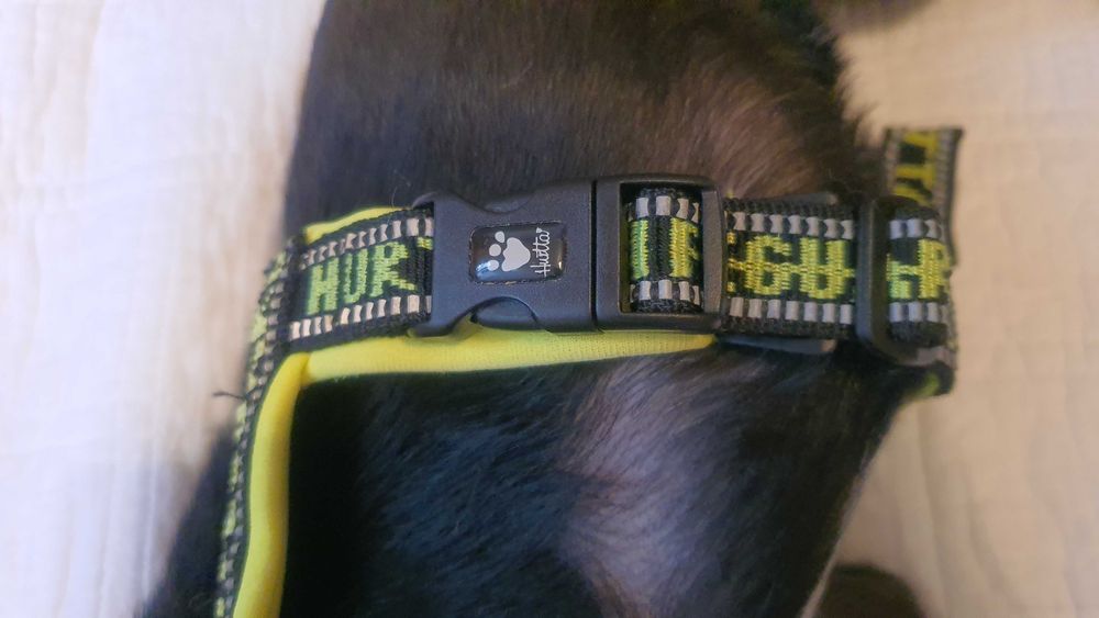 Szelki Hurtta norweskie żółty neo odblaskowe 55 cm chihuahua szpic