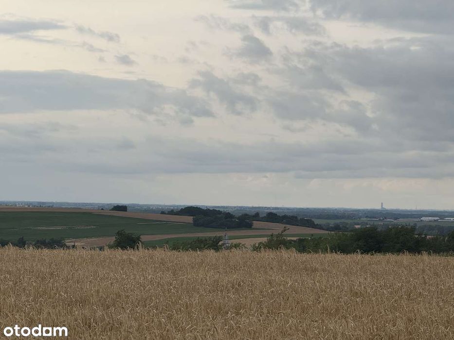 Piękna, widokowa działka nieopodal lasu.