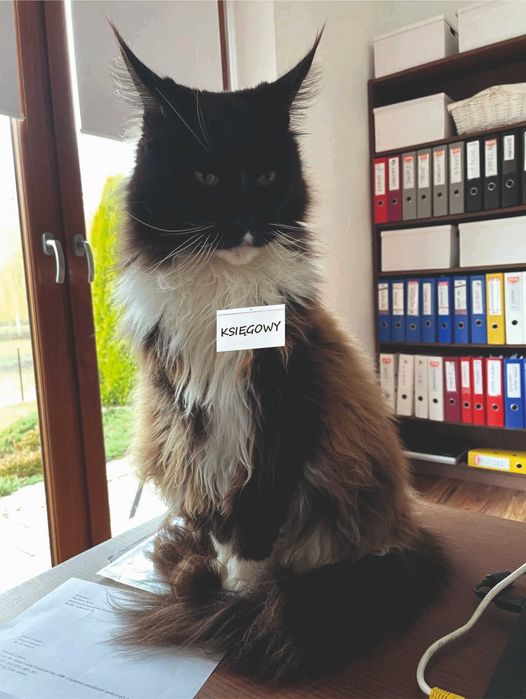 Usługi księgowe, księgowa Wieliczka, Biuro Rachunkowe Golkowice