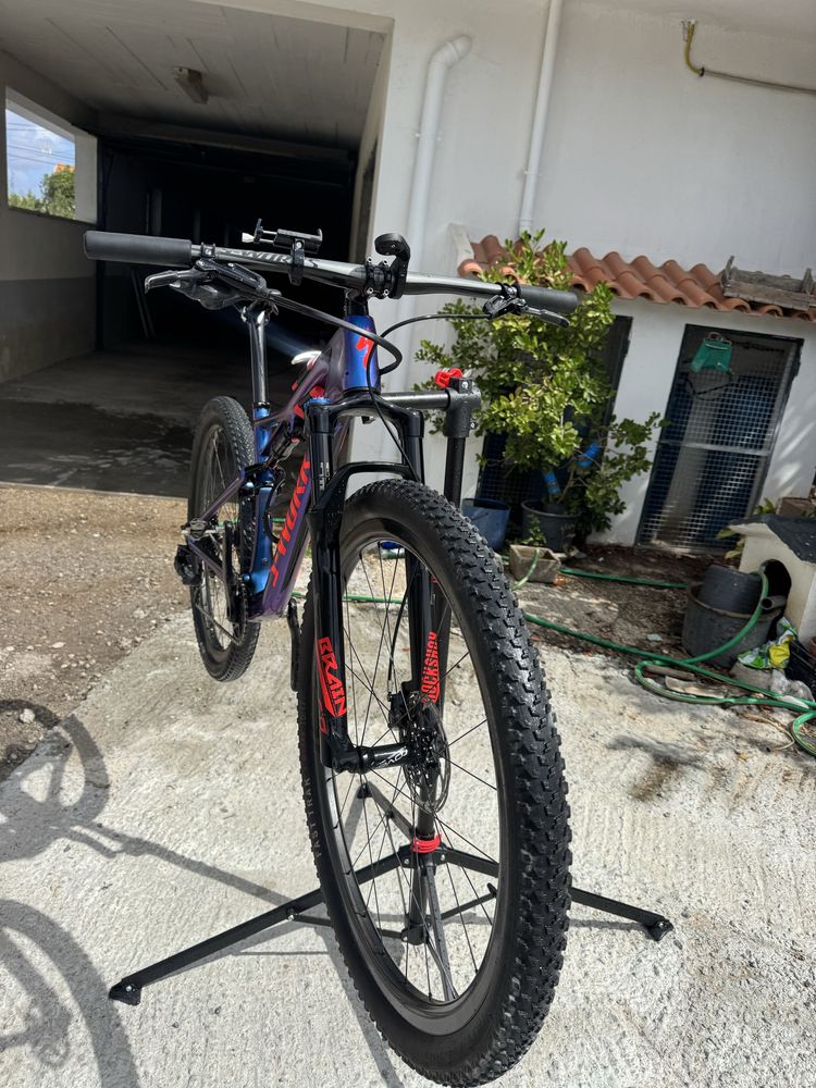 Specialized s works
