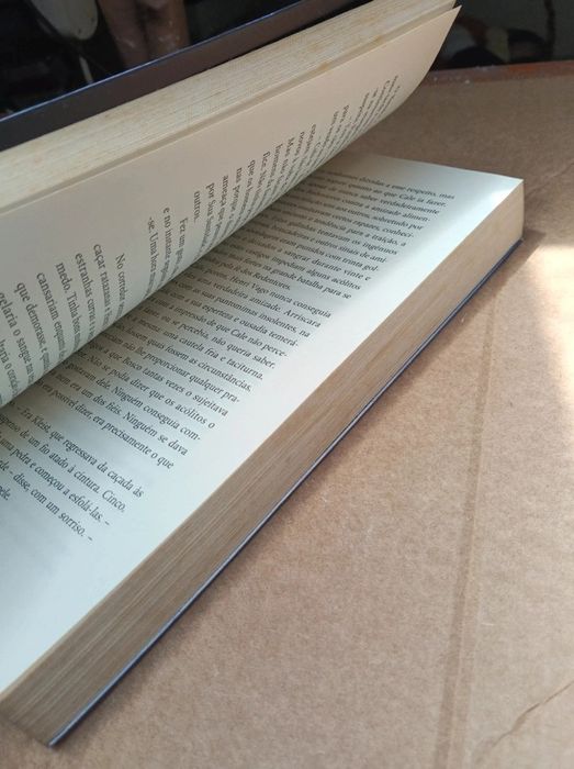 Livro "O Braço Esquerdo de Deus" de Paul Hoffman