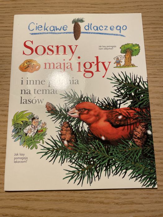Sosny mają igły