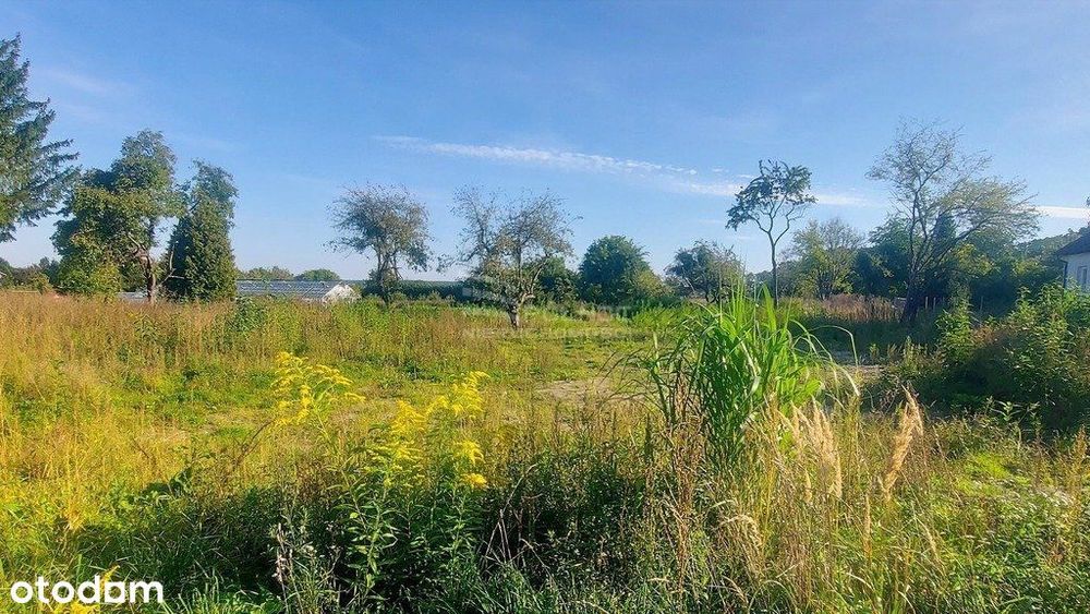 Działka z warunkami zabudowy - Bartoszyce