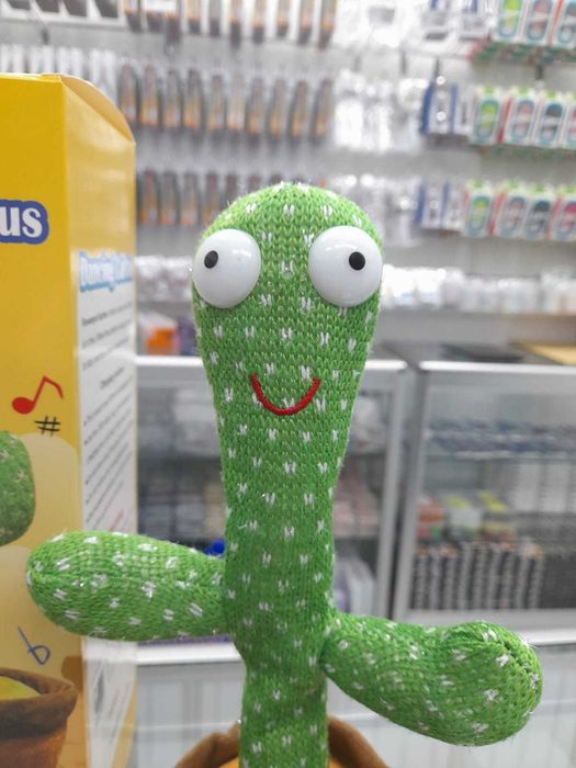 Brinquedo Infantil - Cacto Infantil