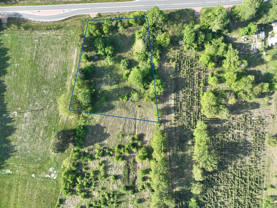 Działka z warunkami zabudowy Siedlisko