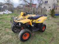 Quad 300 dinli masai 300 mozliwy transport