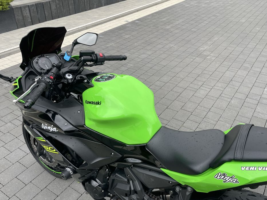 Kawasaki Ninja 650 / 2019 / A2 / Dominator