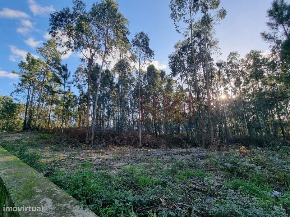 Terreno de construção em Gamil Barcelos